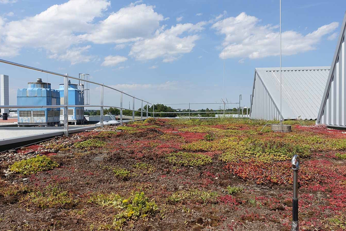 Geländer für Dachbegruenung
