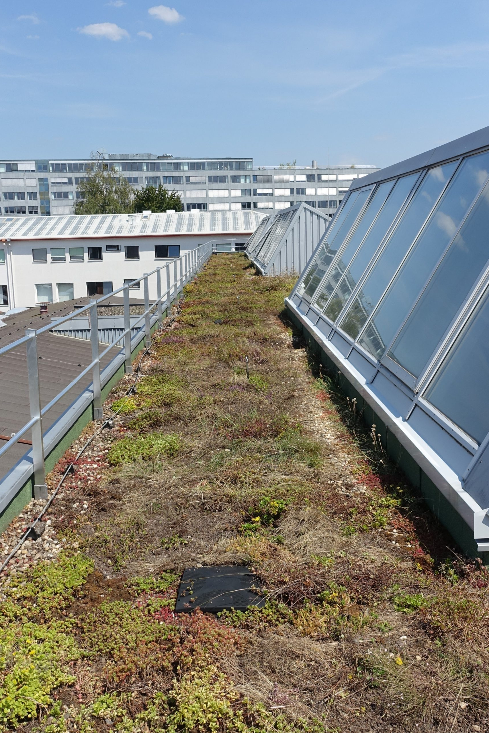 Dachgel&auml;nder auf Gr&uuml;ndach