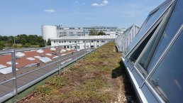 Guardrails integrated into green roof